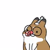 Стикер 34 Rabbit