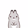 Стикер 31 Rabbit