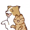 Стикер 8 Rabbit
