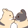Стикер 3 Rabbit