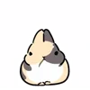 Стикер 51 Rabbit