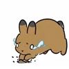 Стикер 12 Rabbit