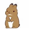 Стикер 30 Rabbit