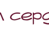 Стикер 5 Burgundy Zen