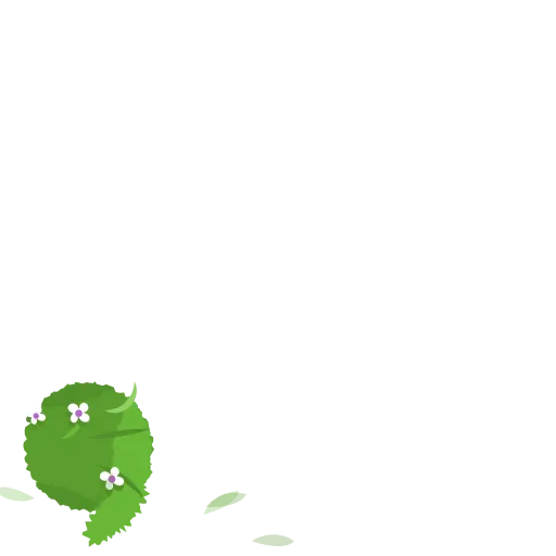 Стикер 46 🌿🌿🌿🌿🌿