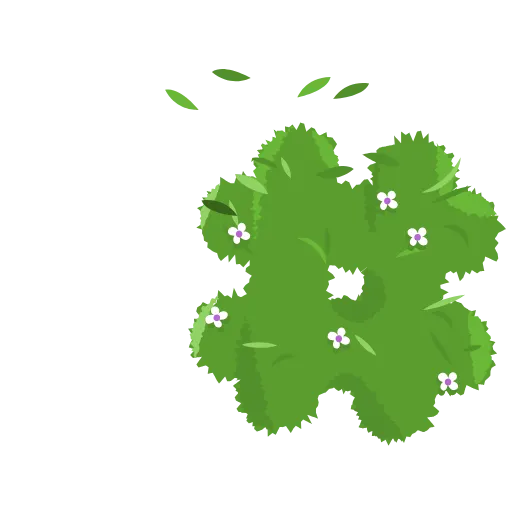 Стикер 56 🌿🌿🌿🌿🌿
