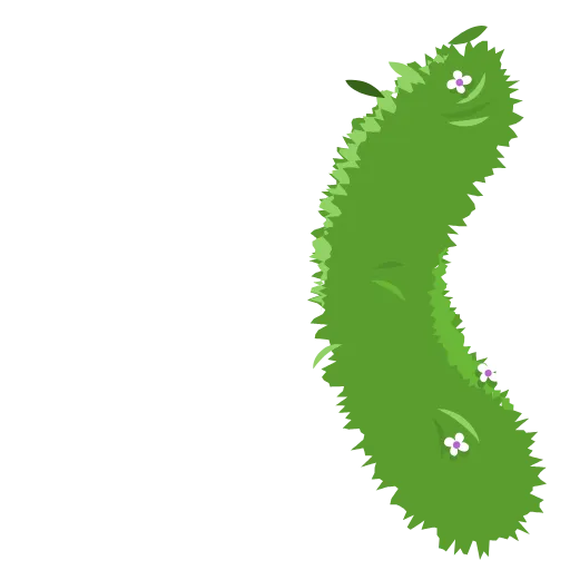 Стикер 50 🌿🌿🌿🌿🌿