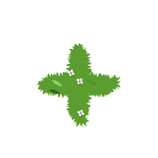 Стикер 57 🌿🌿🌿🌿🌿