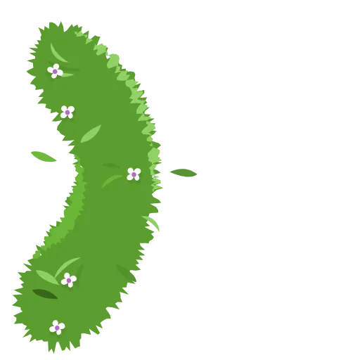 Стикер 51 🌿🌿🌿🌿🌿