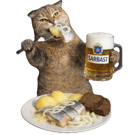 🍺 Стикер «Busya TT Memes» для Telegram
