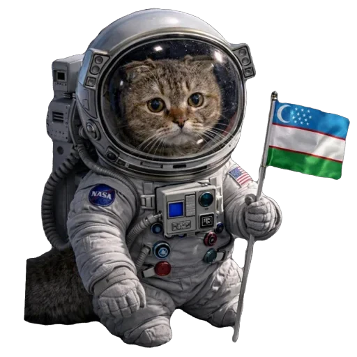 🐈 Стикер «Busya TT Memes» для Telegram