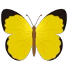 Стикер 11 Butterflies