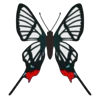 Стикер 40 Butterflies