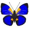 Стикер 26 Butterflies