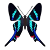 Стикер 4 Butterflies