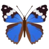 Стикер 22 Butterflies