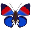 Стикер 25 Butterflies