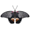 Стикер 35 Butterflies