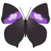 Стикер 18 Butterflies