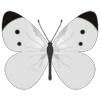Стикер 5 Butterflies