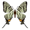 Стикер 32 Butterflies