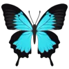 Стикер 31 Butterflies