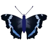 Стикер 28 Butterflies
