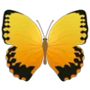 Стикер 19 Butterflies