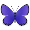 Стикер 37 Butterflies