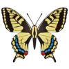 Стикер 30 Butterflies