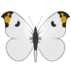 Стикер 10 Butterflies