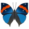Стикер 15 Butterflies