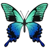 Стикер 29 Butterflies