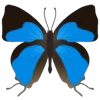 Стикер 16 Butterflies