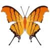 Стикер 27 Butterflies