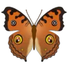 Стикер 20 Butterflies