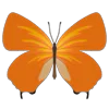 Стикер 36 Butterflies