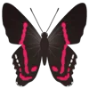 Стикер 21 Butterflies