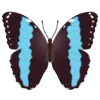 Стикер 38 Butterflies