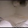 Стикер 12 Совы