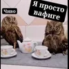 Стикер 38 Совы