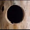 Стикер 25 Совы