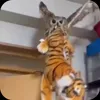 Стикер 19 Совы