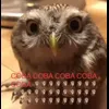 Стикер 4 Совы