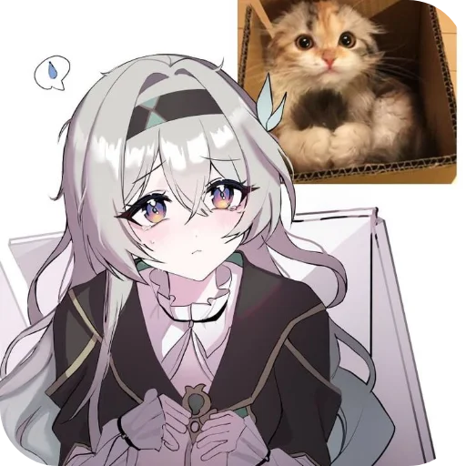 🐱 Стикер «CaeFly (» для Telegram