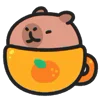 Обложка набора 🍊 Capybara - эмоджи с милой пушистой капибарой