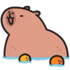 Стикер 51 🍊 Capybara - эмоджи с милой пушистой капибарой