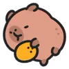 Стикер 57 🍊 Capybara - эмоджи с милой пушистой капибарой