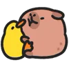Стикер 36 🙂Capybara-2 - капибара