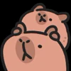 Обложка набора Capybara-3